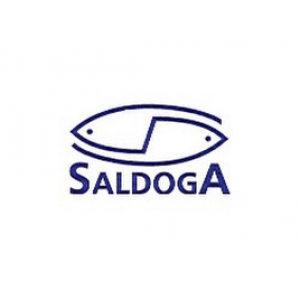 Saldoga