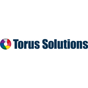 Torus Solutions