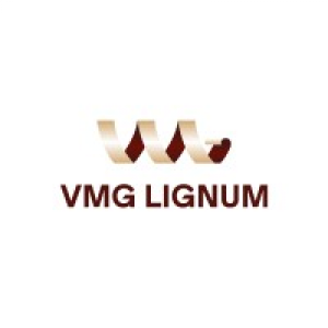 VMG Lignum construction